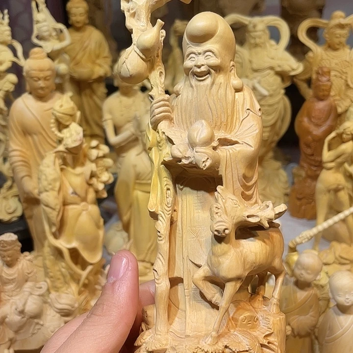 乙***法黄杨木黄杨木23高寿星