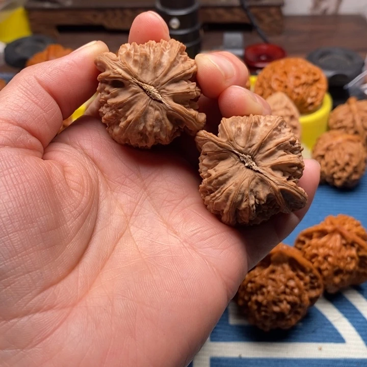 啥***况把件文玩核桃白狮子