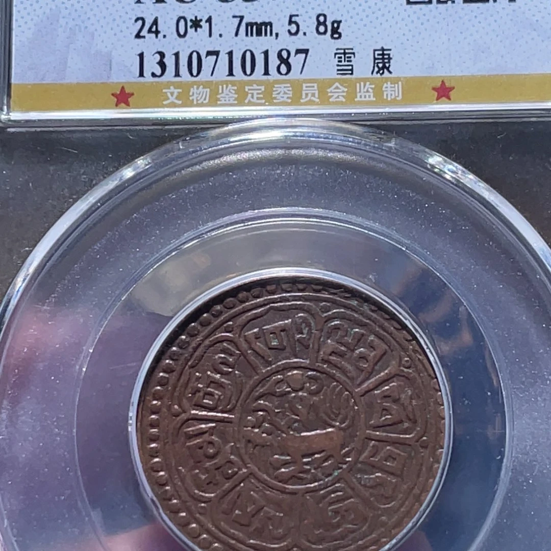 铜通古博今251130范范0187