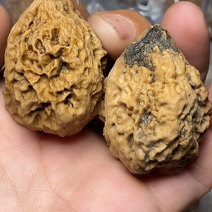 文玩核桃把件云南铁核桃B80