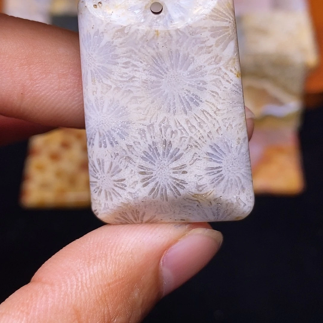 小***窝硅化玉合金珊瑚玉