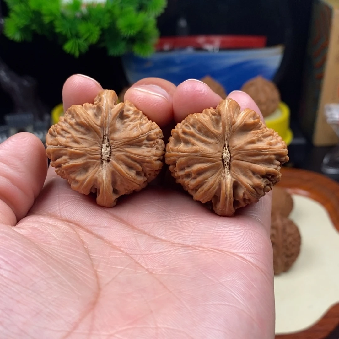 把件文玩核桃白狮子球白38精对