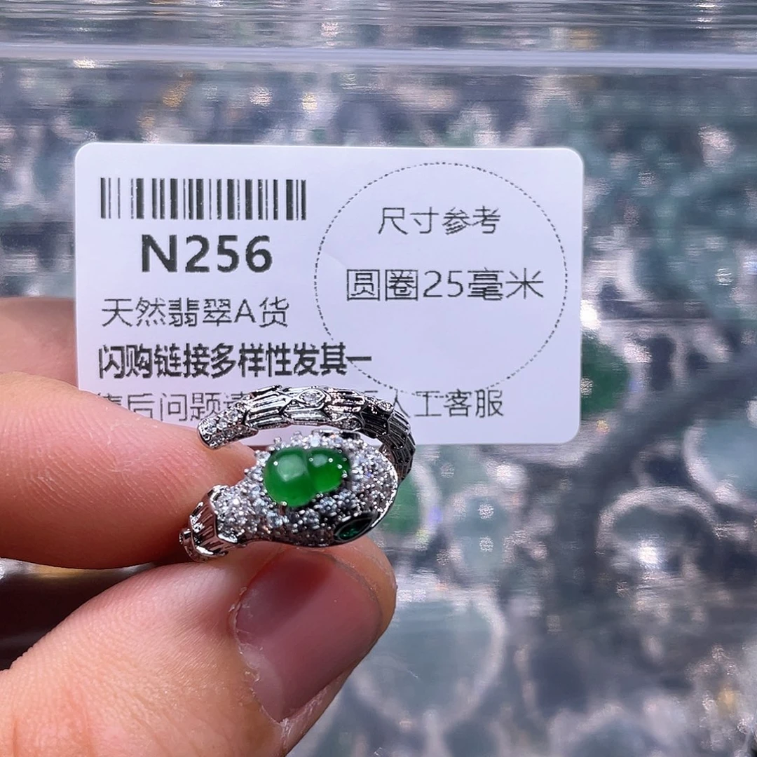 翡翠颈饰未镶嵌N2560000