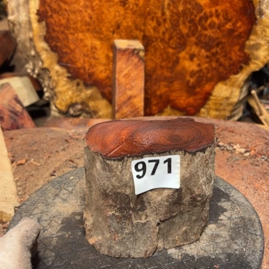 大果紫檀（缅甸花梨）