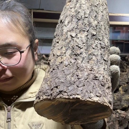 香榧木天*～火琉璃的毛料摆件