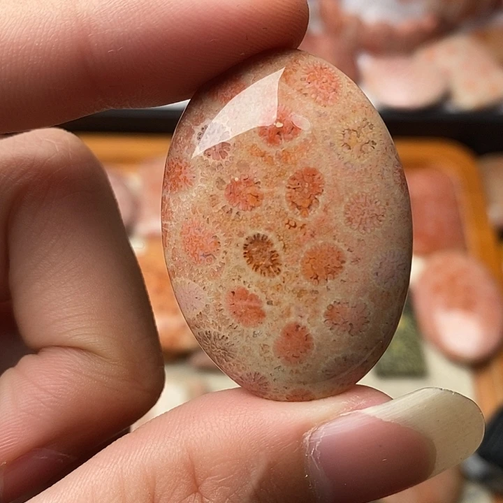 硅化玉颈饰未镶嵌云*