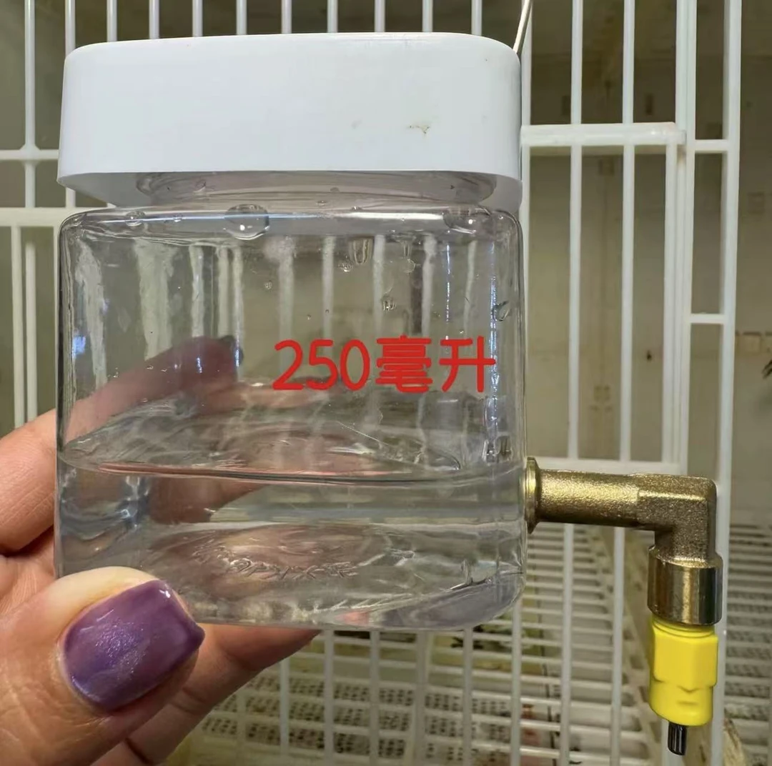 自动饮水器干净卫生