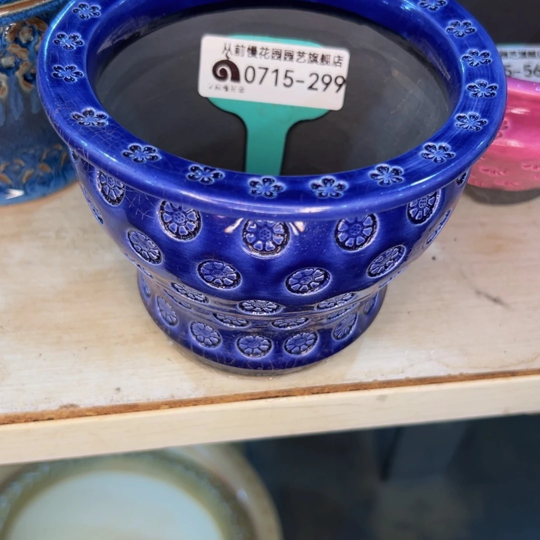多肉一物一拍0715-299