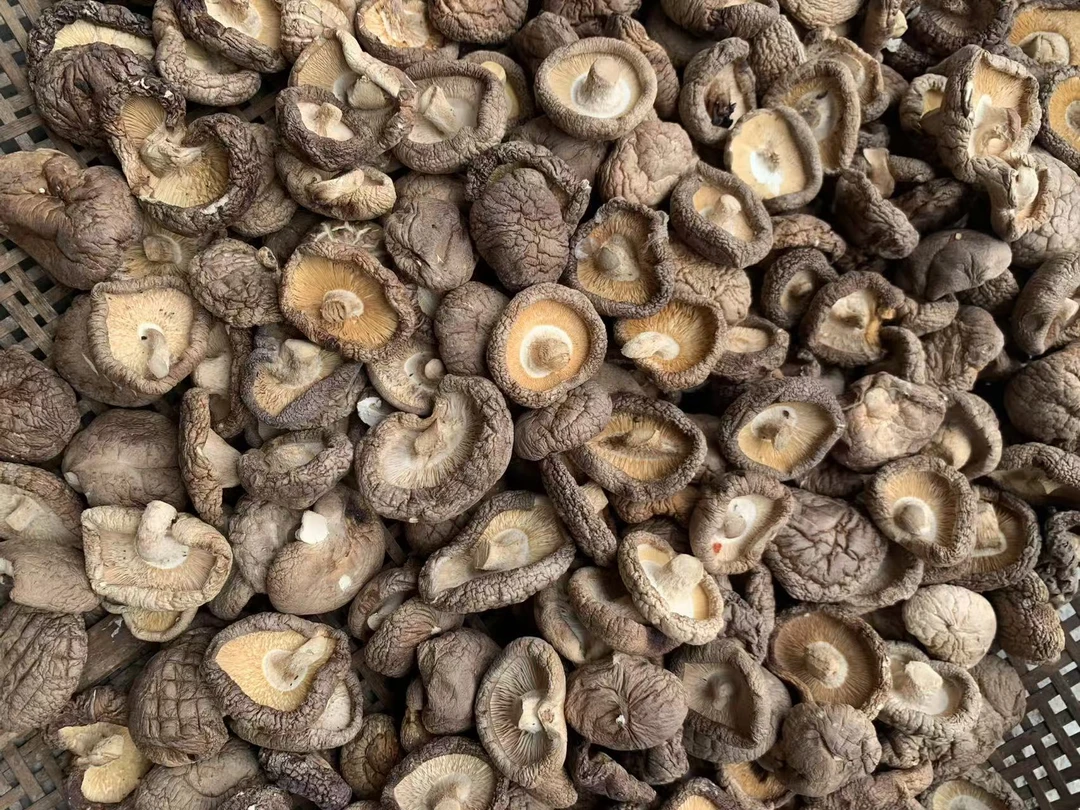 【助农农产品】张家界天子山土货山货干香菇