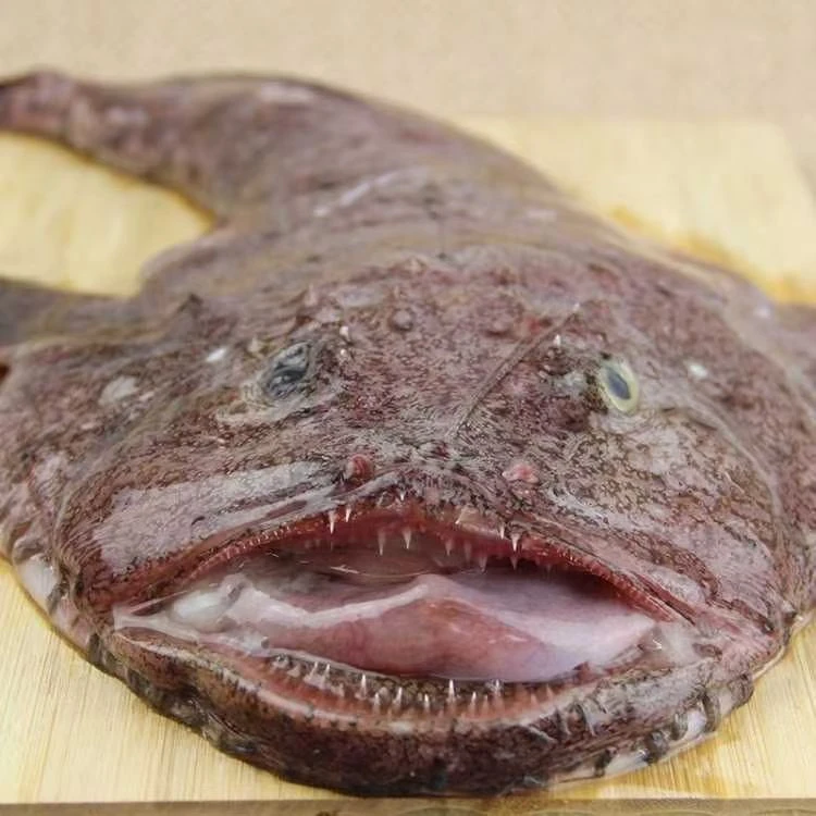 安康鱼海捕3斤 保留鱼肝鱼肚 冰鲜速冻