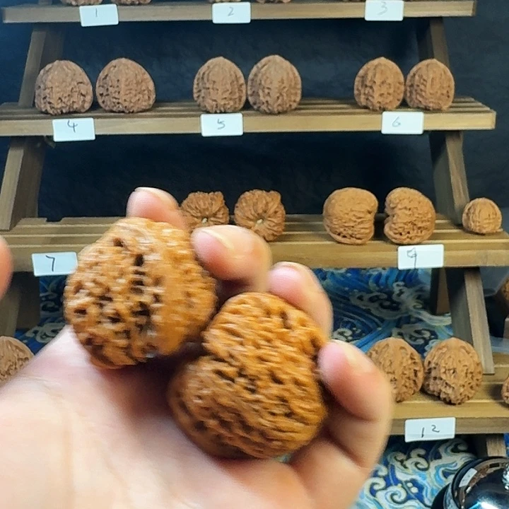 一****大叶紫檀（黑酸枝木类）