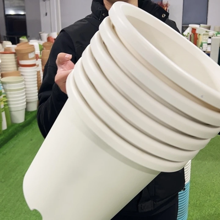 微瑕7号口33高33白色6只无托