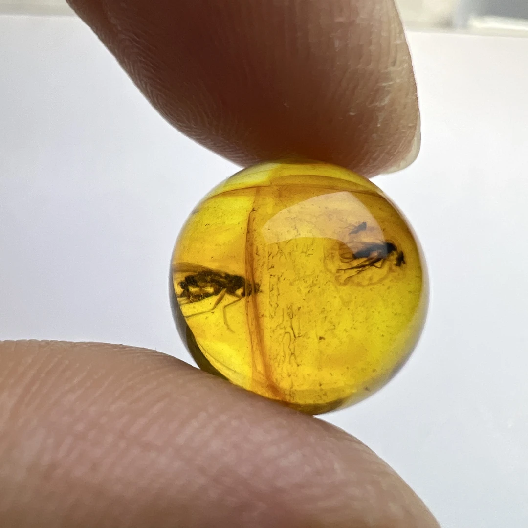天然琥珀虫珀圆珠尺寸：14mm