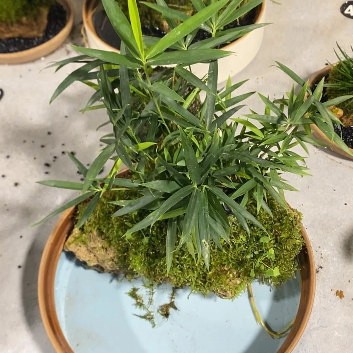 新***界退款拉黑一物一拍70