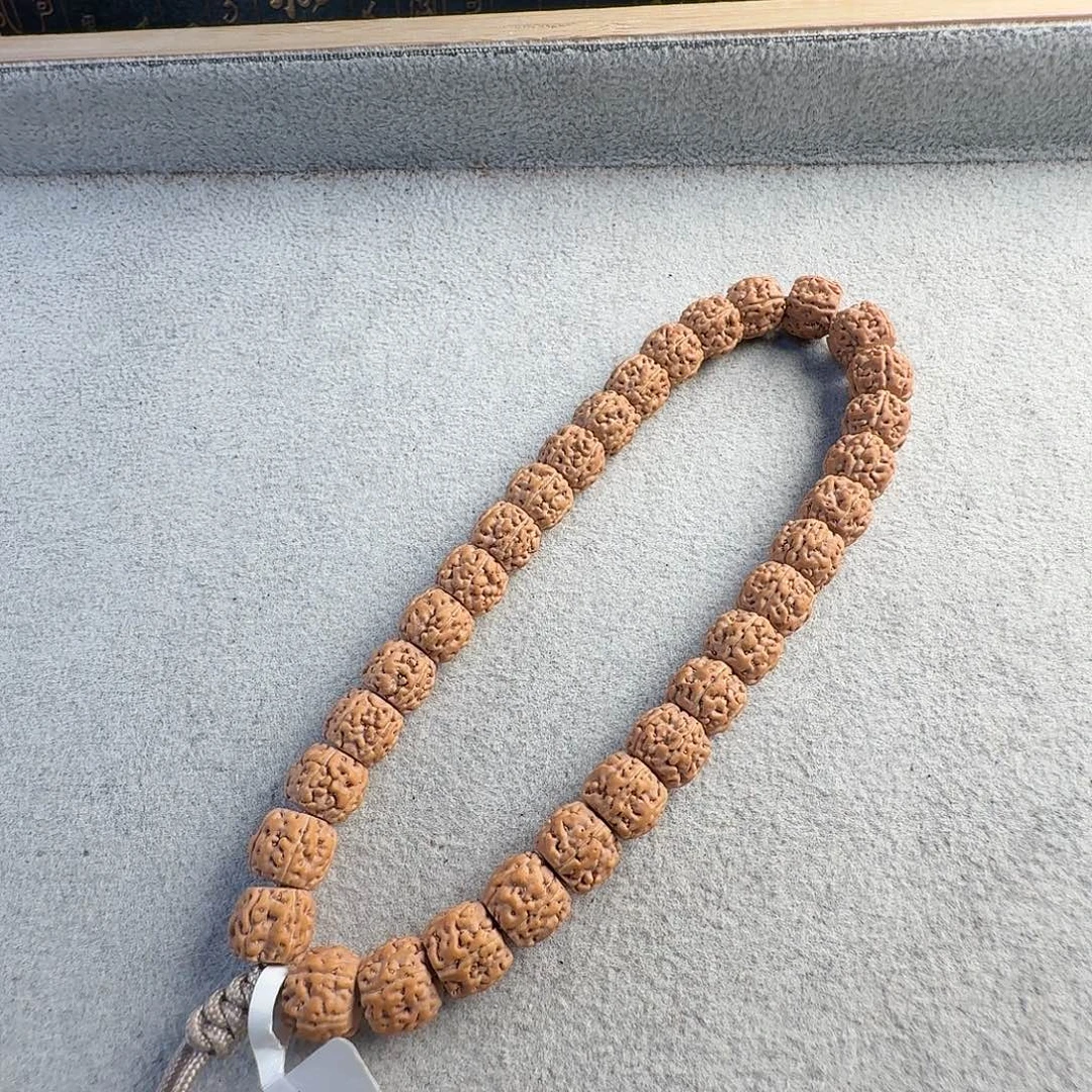 金刚菩提吊坠10头货纯血一代龙