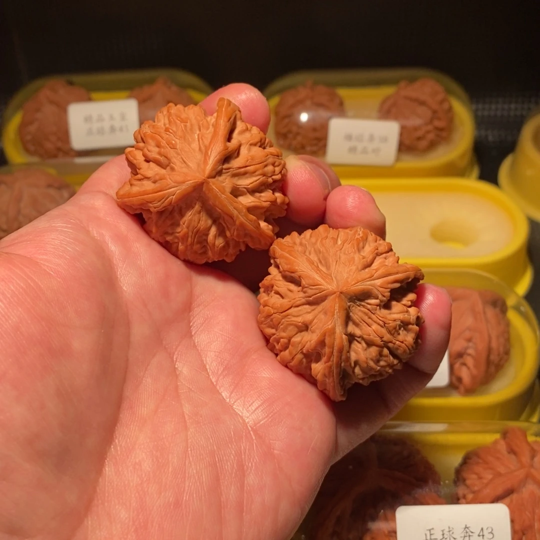 拖****42御龙粗筋正球奔精品对