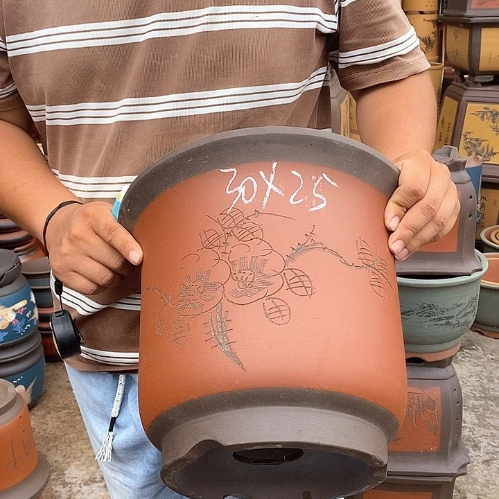 紫砂花盆盆栽观赏