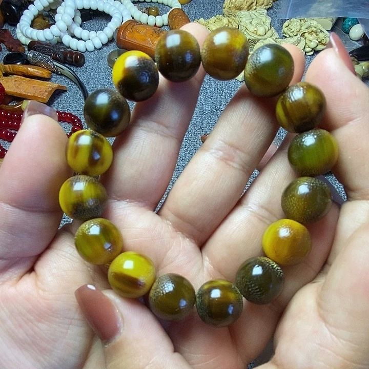 大果紫檀（缅甸花梨）