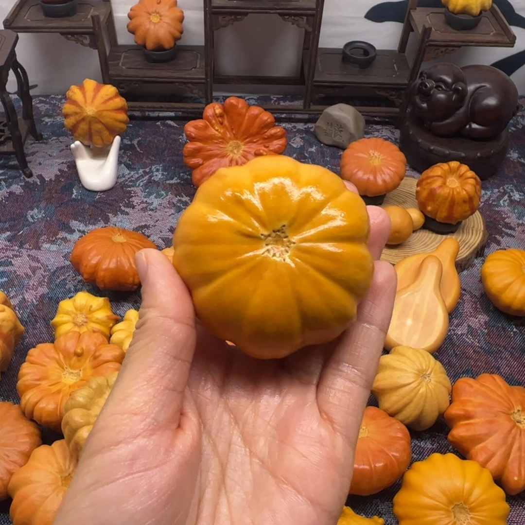 墨西哥葫芦双色小花