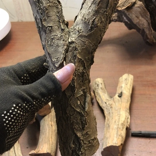 大果紫檀（缅甸花梨）紫****）