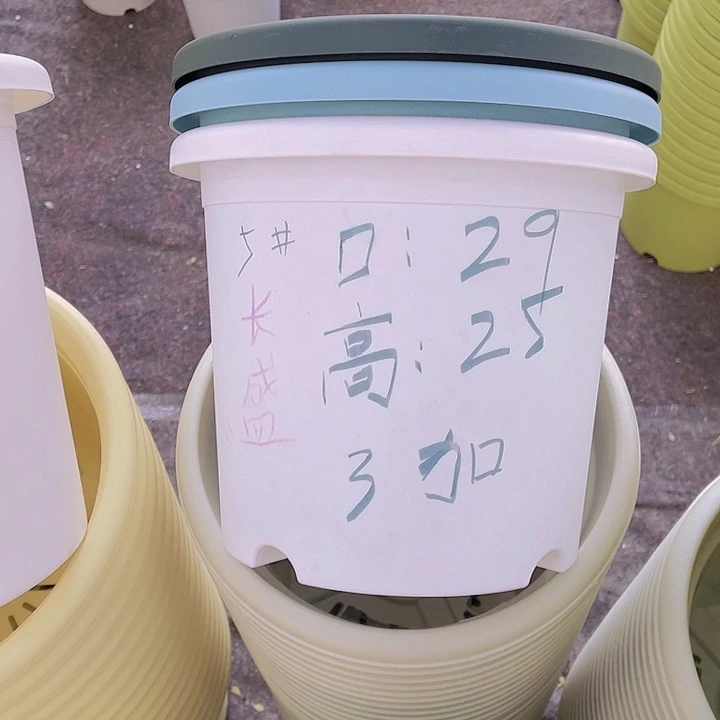 树脂特价福利 长盛5号天蓝色6个