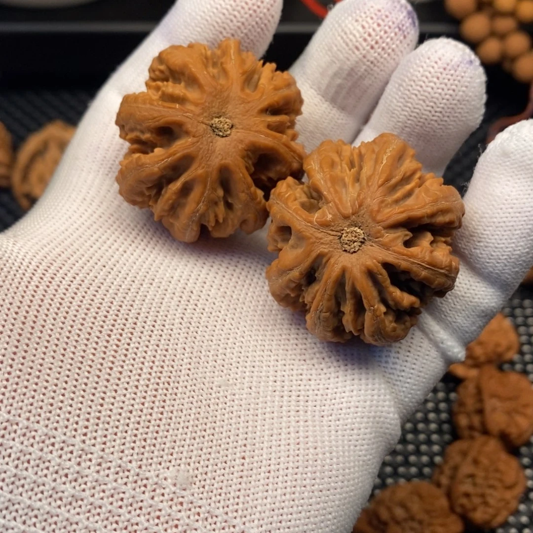 小***路秦岭南北区位于陕西