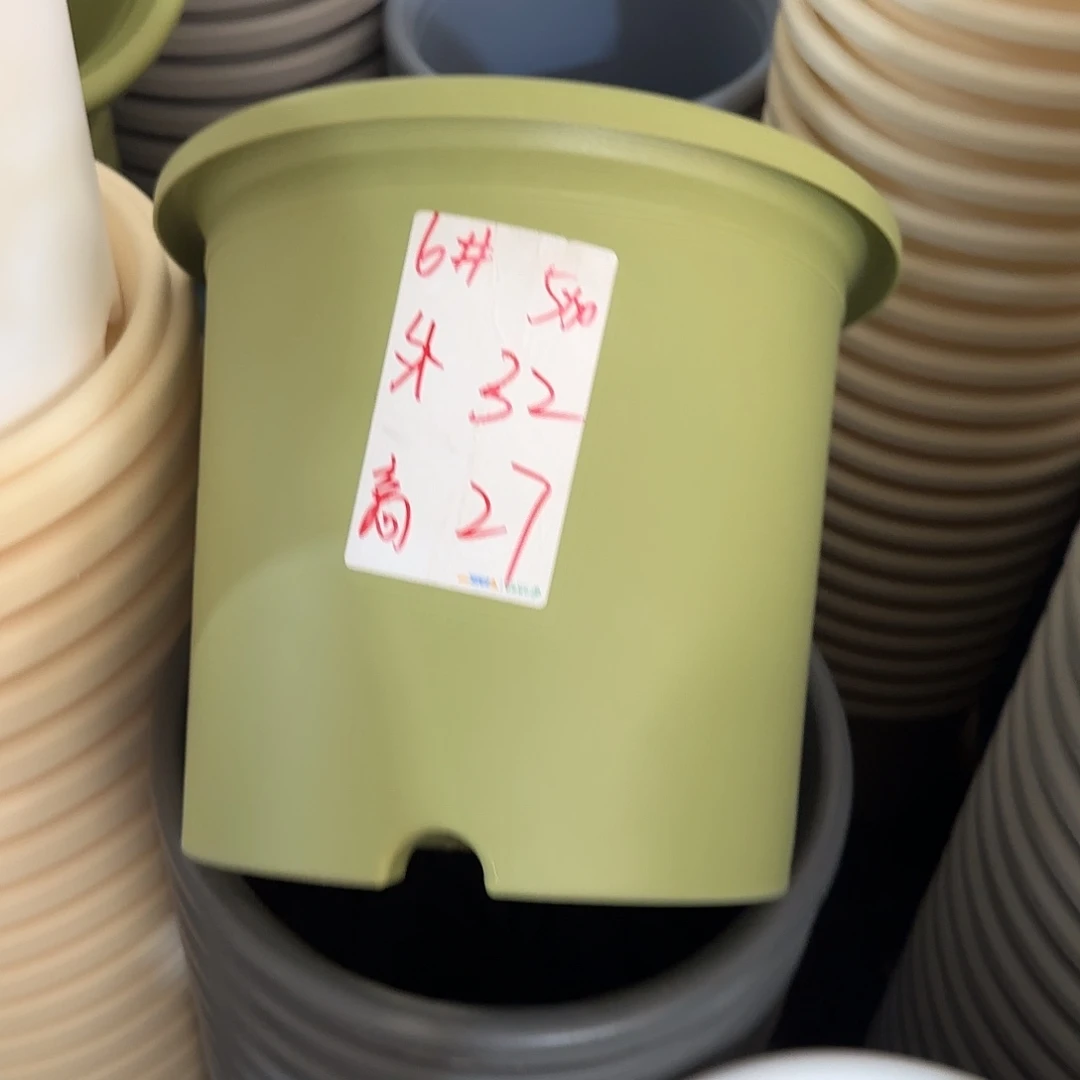 微瑕6号无托7个，果绿