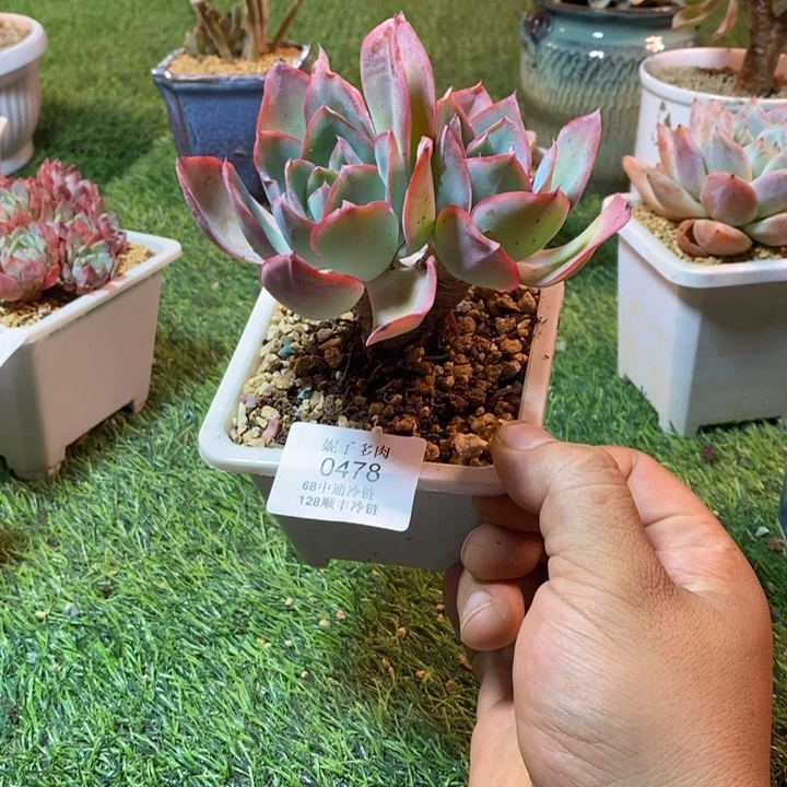 0478啊啊啊啊啊啊啊啊啊啊