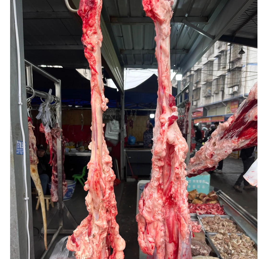 【牛鞭】长沙西域牛佬 每日现宰黄牛 新鲜牛鞭小时达