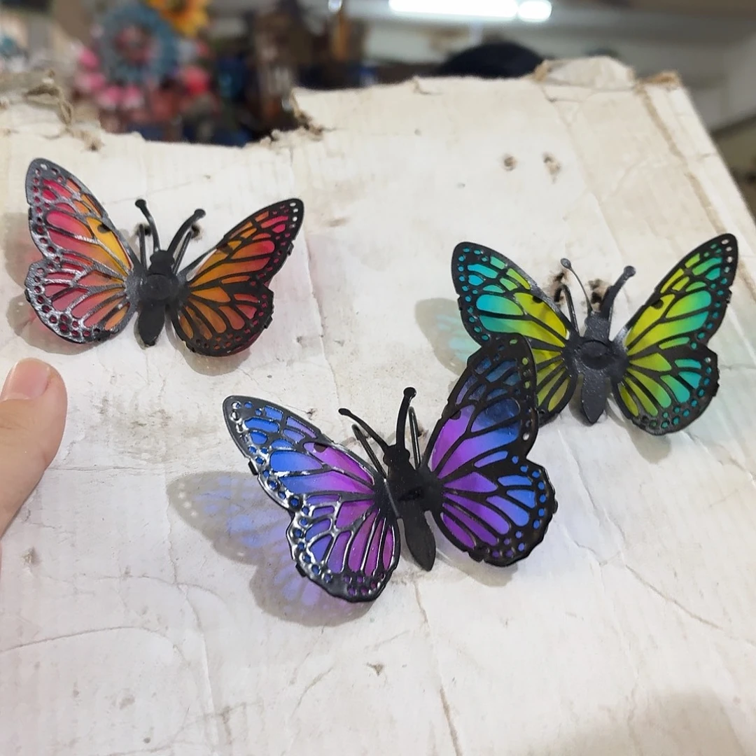 核桃木/黑胡桃（胡桃木）