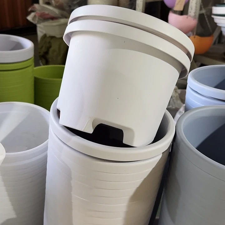 球根26口径10个无托灰白