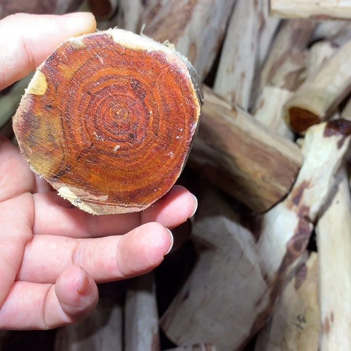 花梨木类海南黄花梨