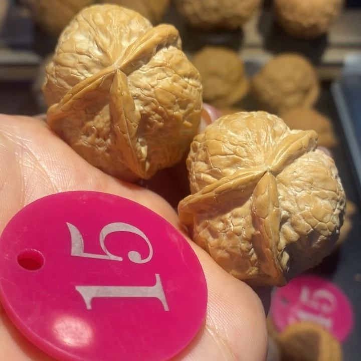 核桃三棱核桃尺寸36