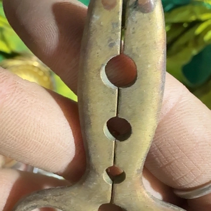 赵***）扇子vdvdvddvxvvxvxvxvx