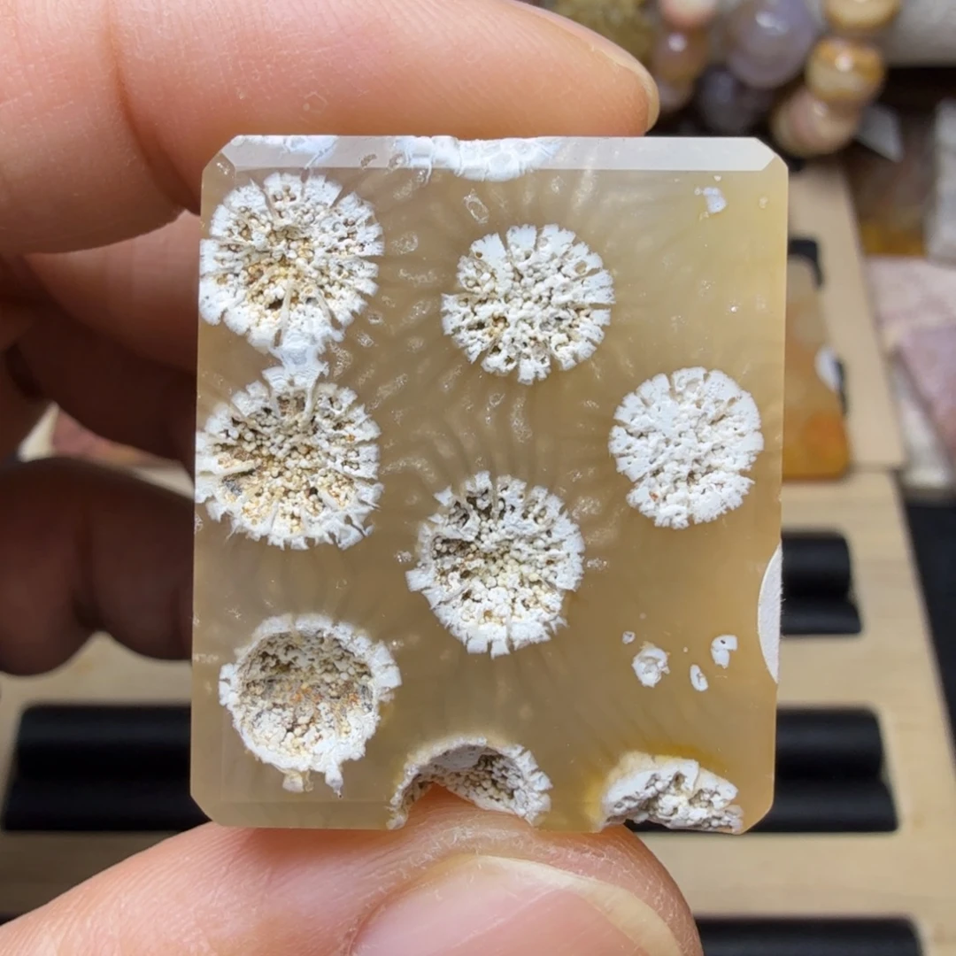 硅化玉未镶嵌纯天然色有机玉石保真色