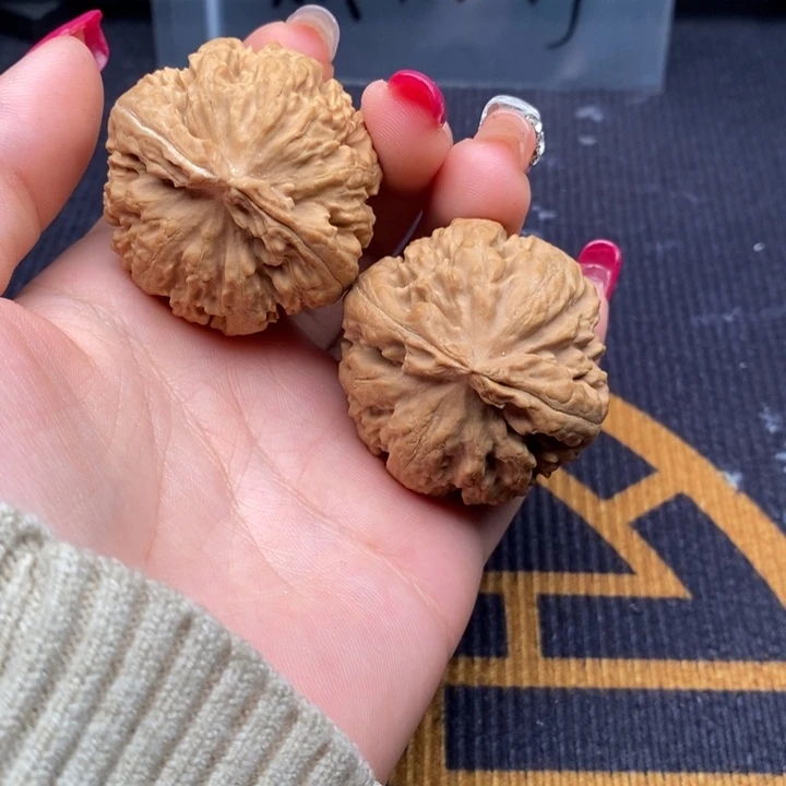 东***关文玩核桃把件霸王龙