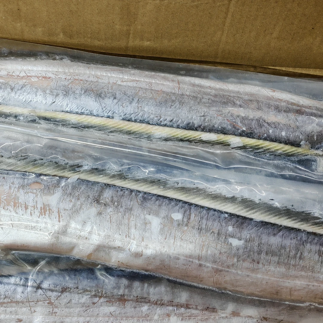 渤海湾野生带鱼刀鱼小眼睛刀鱼5斤冷冻海鲜包邮