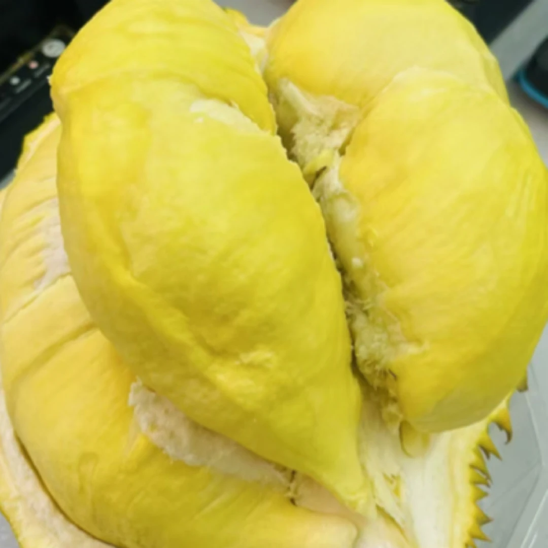 【坏必赔】树熟金枕鲜榴莲纯肉1斤核小榴莲同城送金枕泰国