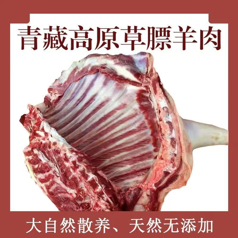 青藏藏系羊肉新鲜羊排羊前腿清真冷链高原原生态