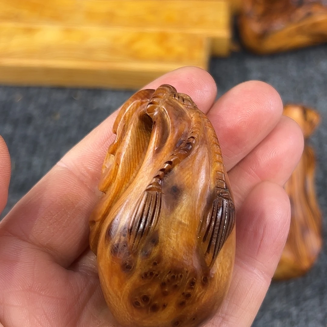 崖柏太行崖柏独根黑金刚瘤花钱袋