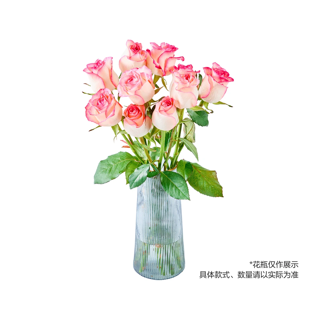 爱莎玫瑰 10支