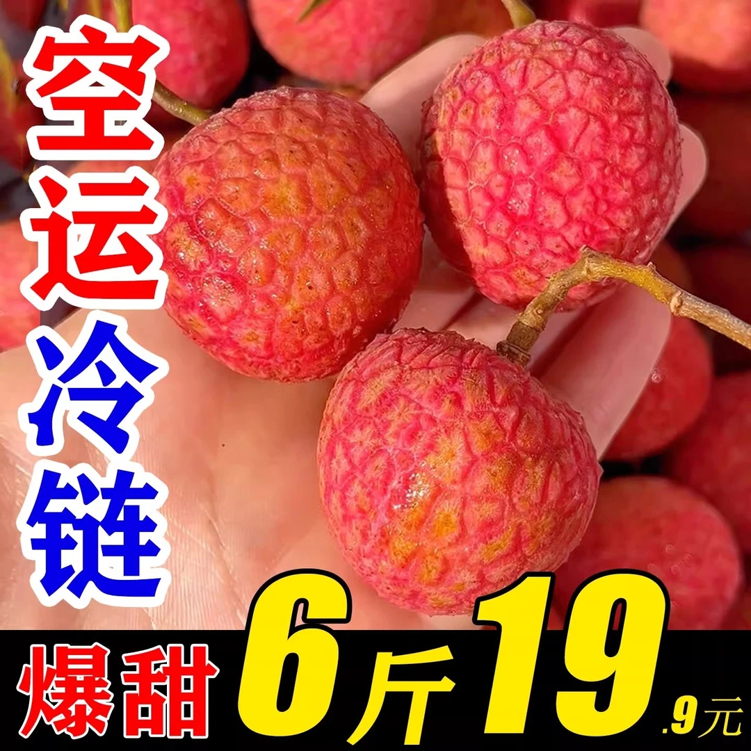 【冷链锁鲜】新鲜福建乌石黑叶荔枝现摘现发白糖罂露天种植纯甜无酸