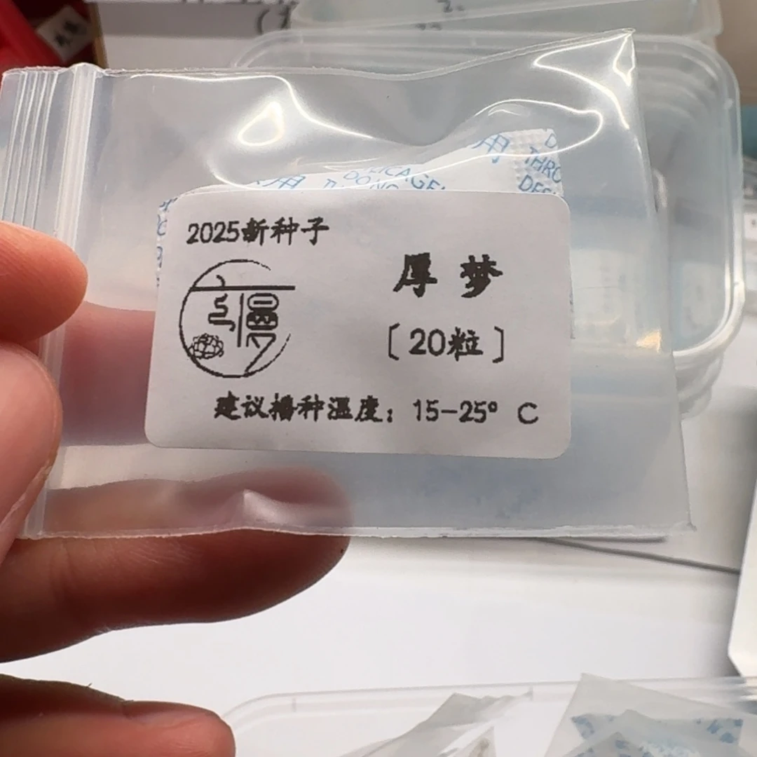 如图2025新种子糖心系列厚梦40粒