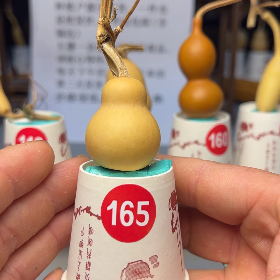 闪电购自助下单编号165