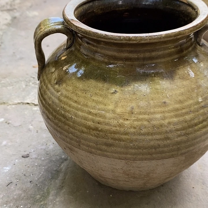 无花朵玫瑰花鲜花鲜花鲜花