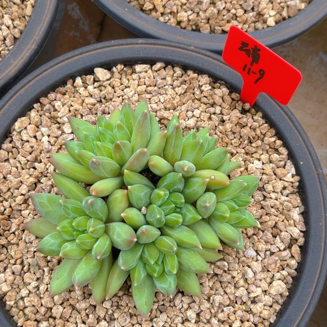 1191111111111111111111