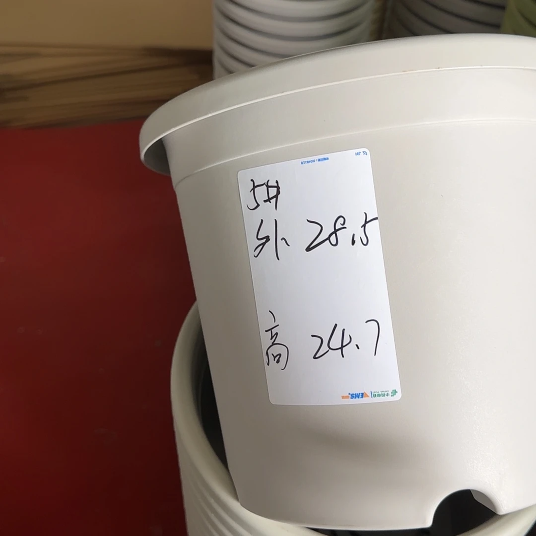 树脂四季5号无托6个灰白微瑕