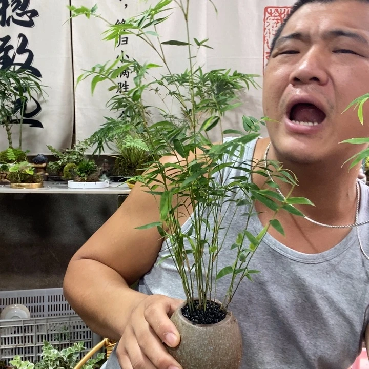无花朵退款拉黑拉黑60