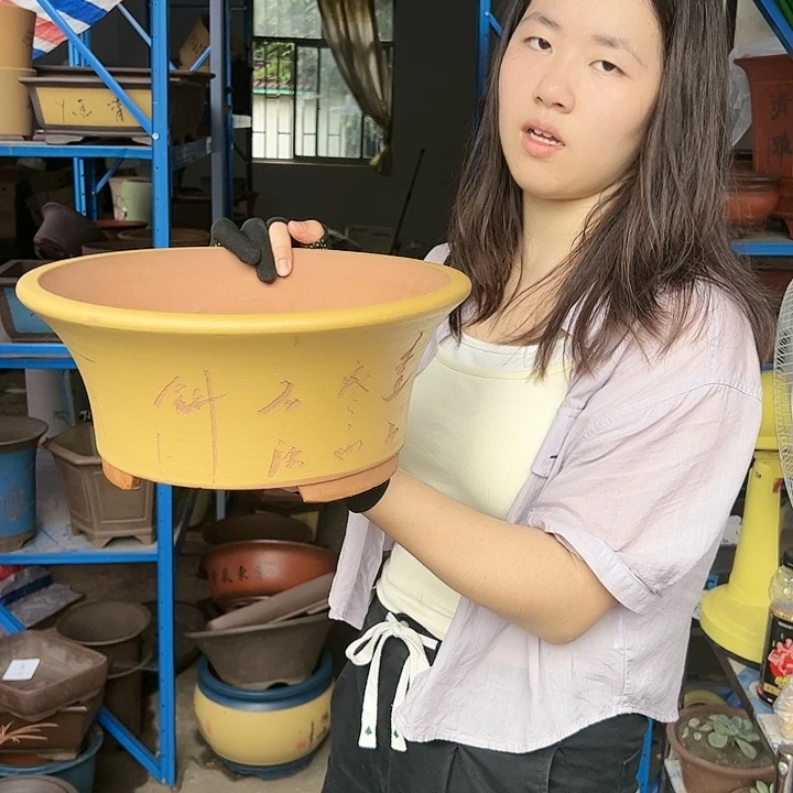 33黄票口花盆花盆花盆