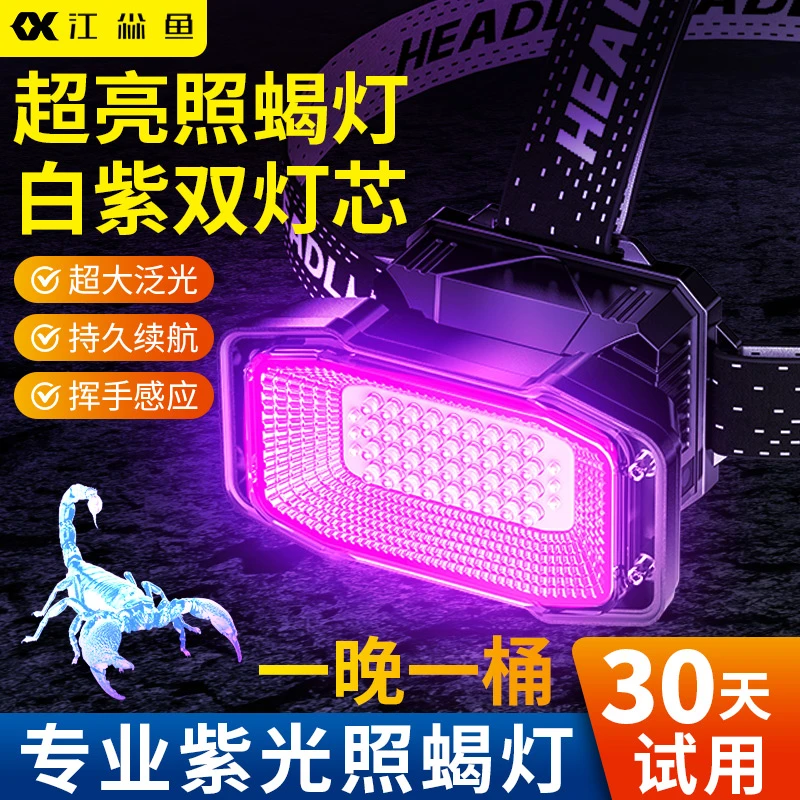 双光源蝎子灯充电头灯超亮户外手电筒照蝎强光紫光专用灯超长续航